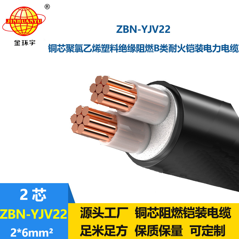 金環(huán)宇電線電纜 yjv22鎧裝電纜ZBN-YJV22-2X6平方 阻燃耐火電纜